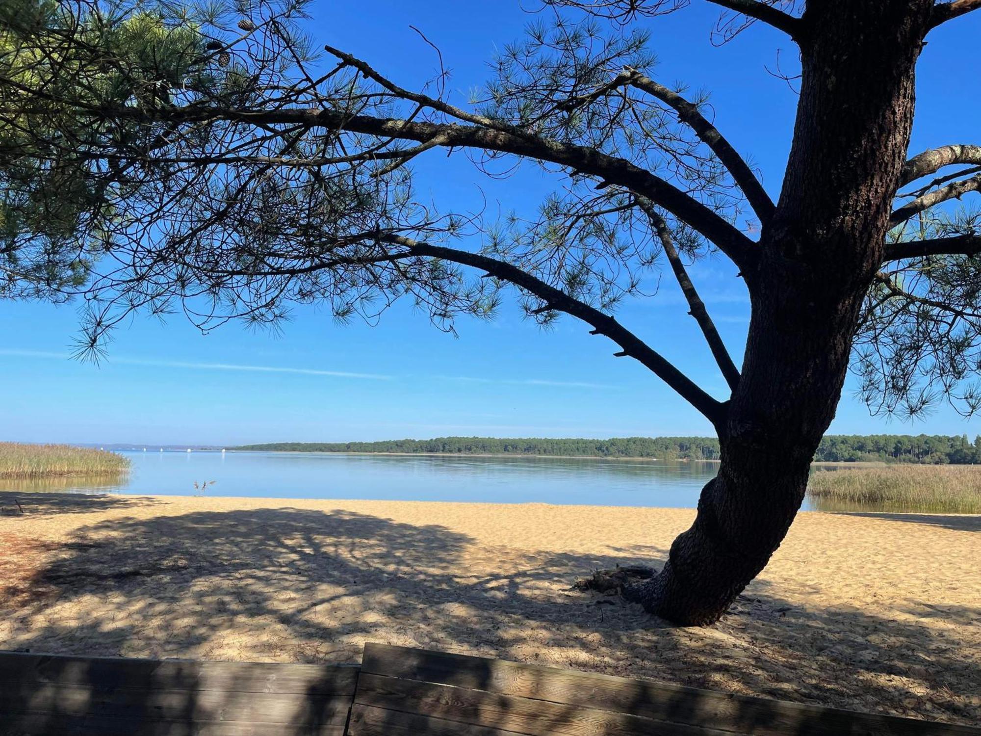 Appartement T2 Proche Lac Sanguinet Kültér fotó
