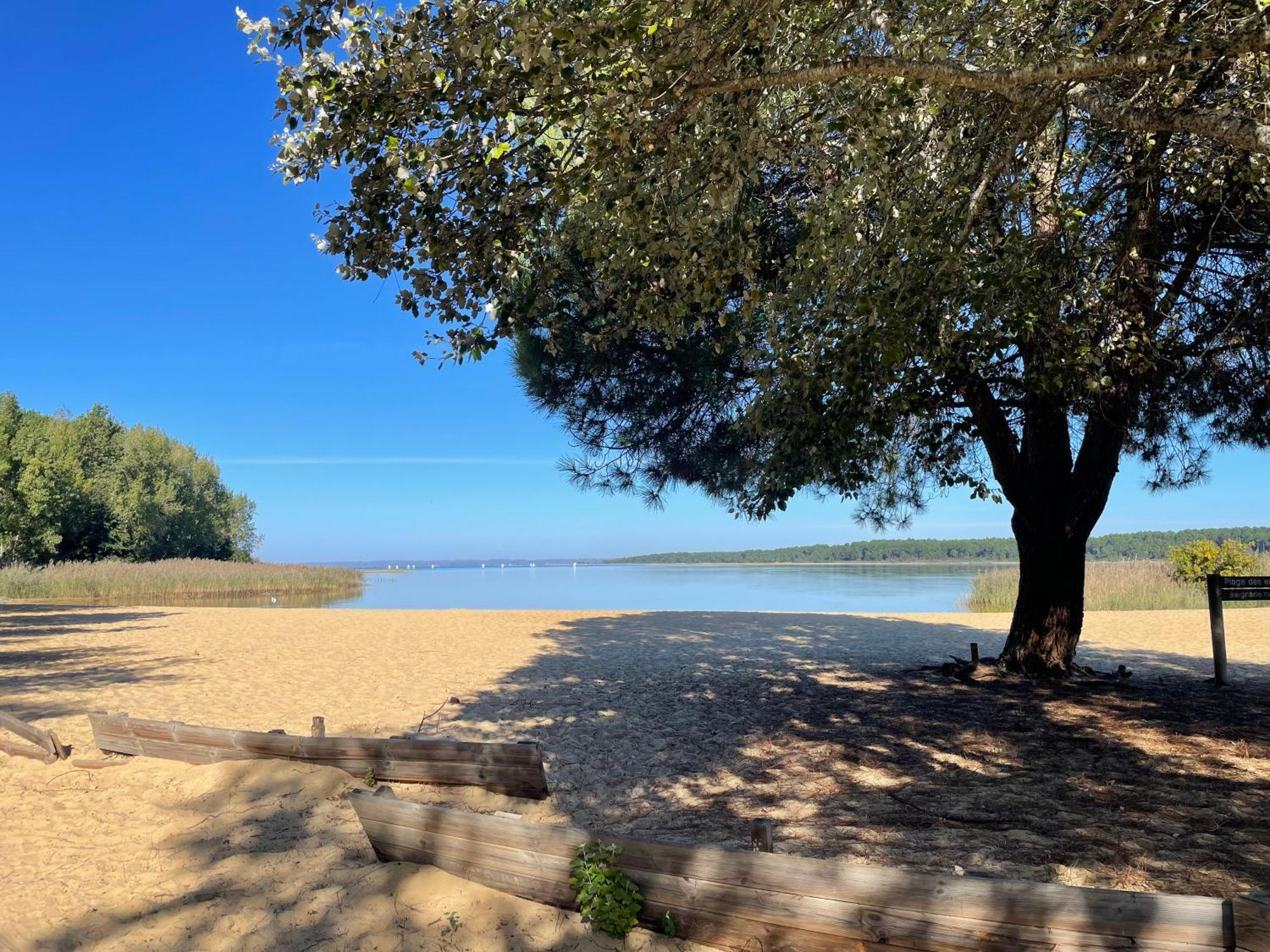 Appartement T2 Proche Lac Sanguinet Kültér fotó